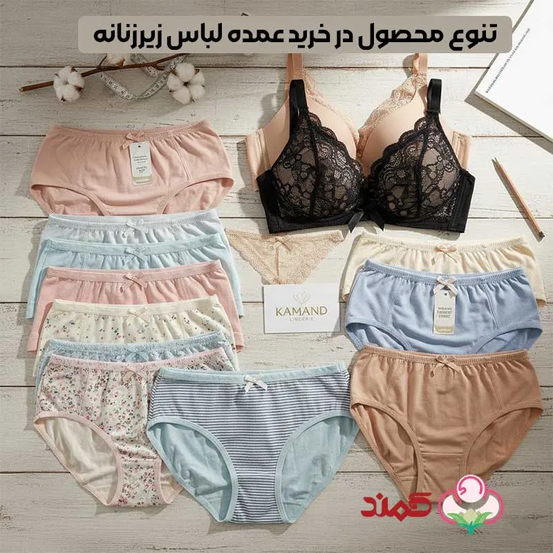 تنوع محصول در خرید عمده لباس زیرزنانه ارزان | کمند