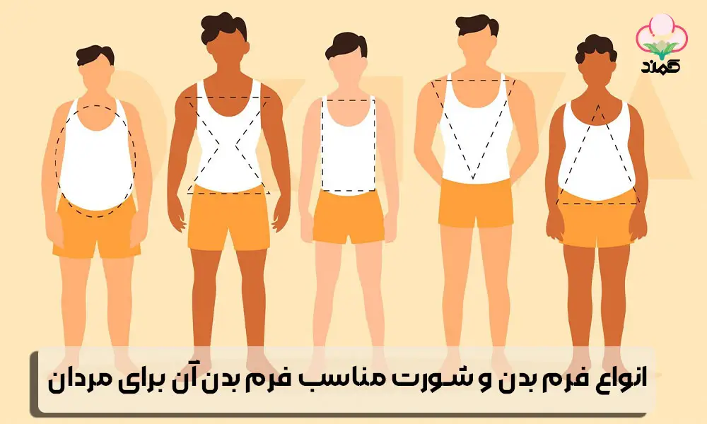 انواع شورت مناسب فرم بدن - تولیدی کمند