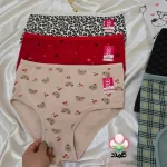 عمده فروشی پک شورت 6 طرحی نخ پنبه - تولیدی کمند