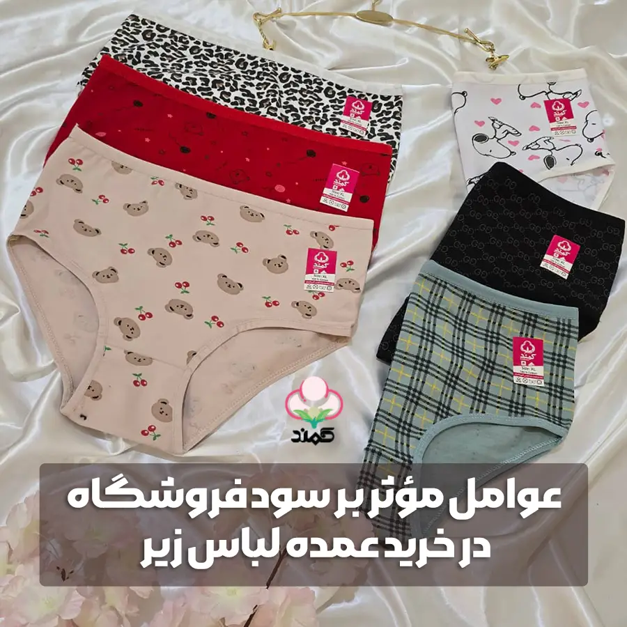 چطور با خرید از عمده فروشی لباس زیر سود فروشگاه خود را چند برابر کنیم؟